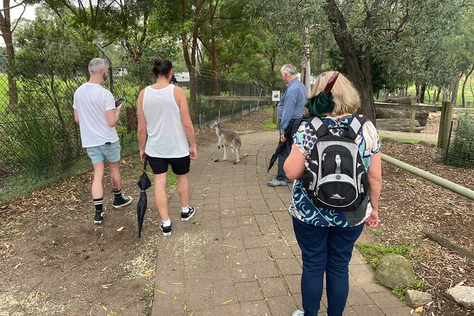 Blue Mountains Wildlife Full-Day Sights and Hiking from Sydney - Price and value: what $238.84 buys you on a 10-hour day