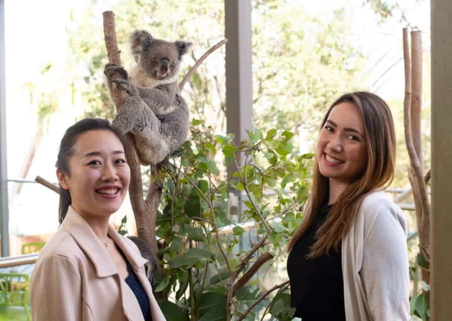 Breakfast with Koalas at WILD LIFE Zoo Darling Harbour - The 7:30 to 8:30 Highlights Tour With a WILD LIFE Keeper