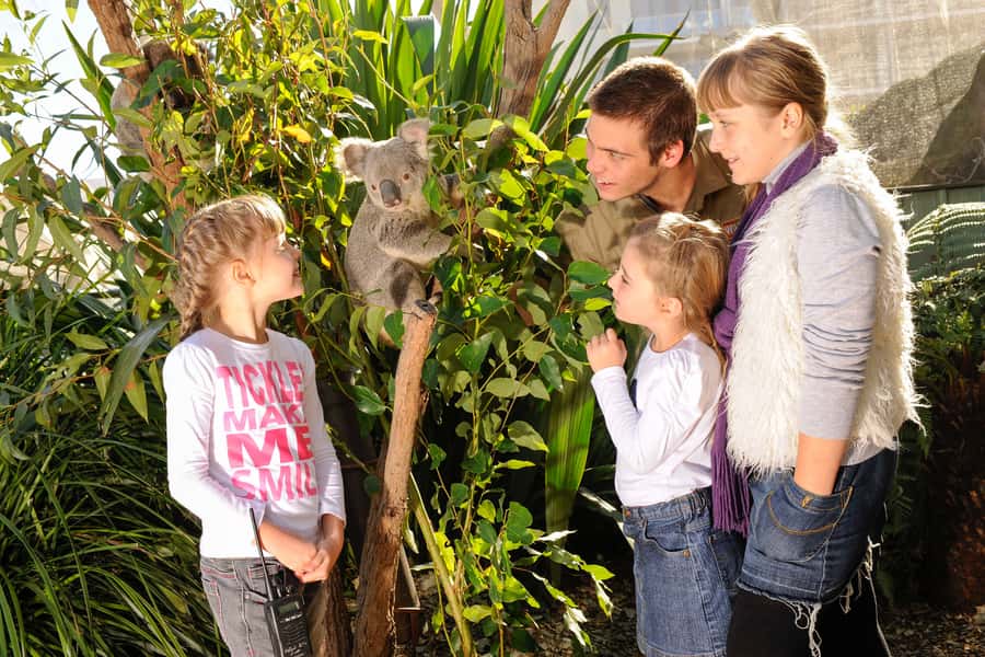 Breakfast with Koalas at WILD LIFE Zoo Darling Harbour - 9:30 Onward: Explore the Zoo at Your Own Pace