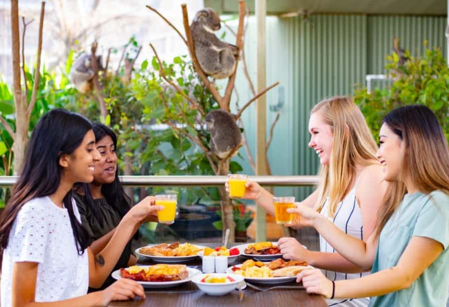 Breakfast with Koalas at WILD LIFE Zoo Darling Harbour - Check-In at 1-5 Wheat Road: How to Start Without Stress