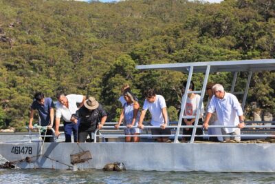 Broken Bay Pearl & Oyster Farm Tours - The guided farm visit: meeting the team and getting the story straight