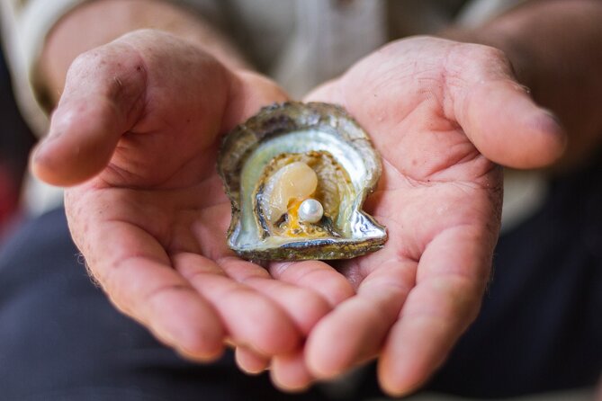 Broken Bay Pearl & Oyster Farm Tours - Price and value: what $29 gets you (and where it may not)