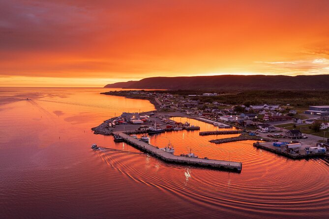 Cabot Trail Bus Tour for Cruise Excursion - Transportation Comfort and Group Size: The “Small Group” Advantage