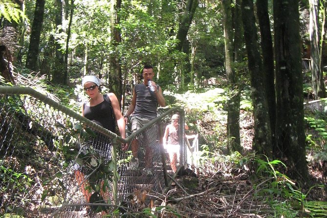 Exclusive Blue Mountains Wildlife and Bushwalk Tour From Sydney - Leura (or Katoomba) for lunch: a break that actually feels like the mountains