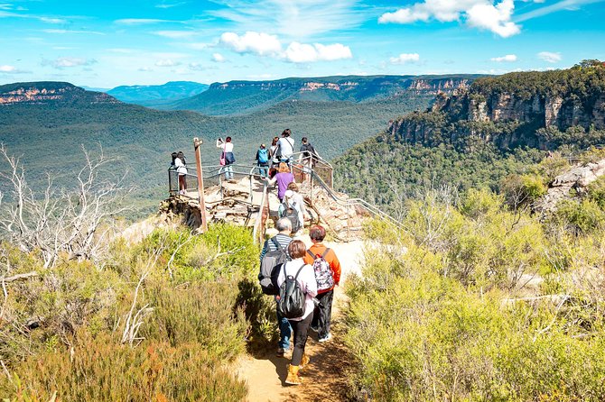 Exclusive Blue Mountains Wildlife and Bushwalk Tour From Sydney - Wentworth Falls bushwalk: what the moderate hike means in real life