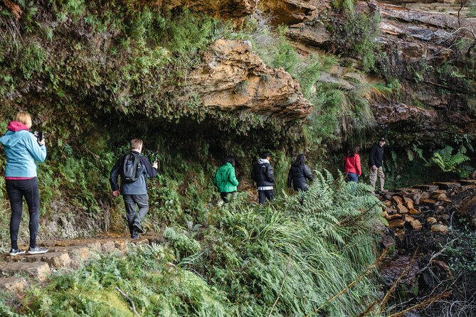 Exclusive Blue Mountains Wildlife and Bushwalk Tour From Sydney - Passing city icons and getting into the real scenery