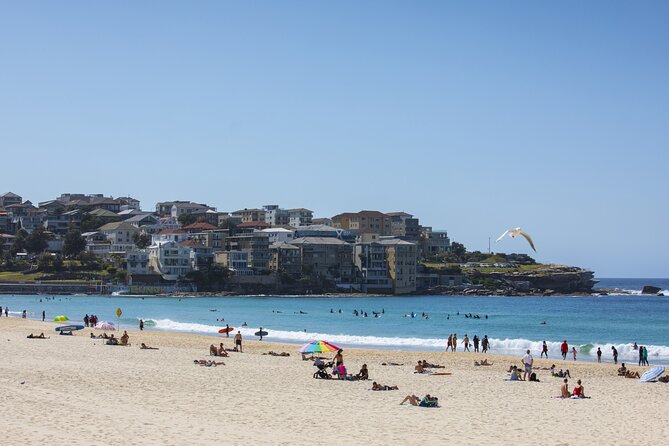 First Timer Sydney Sightseeing & Bondi Beach 1/2 Day Tour - Who should book this and who should skip it