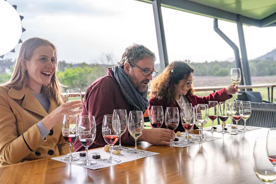 From Sydney: All Inclusive Boutique Hunter Valley Wine Tour - Should you book this all-inclusive boutique tour from Sydney?