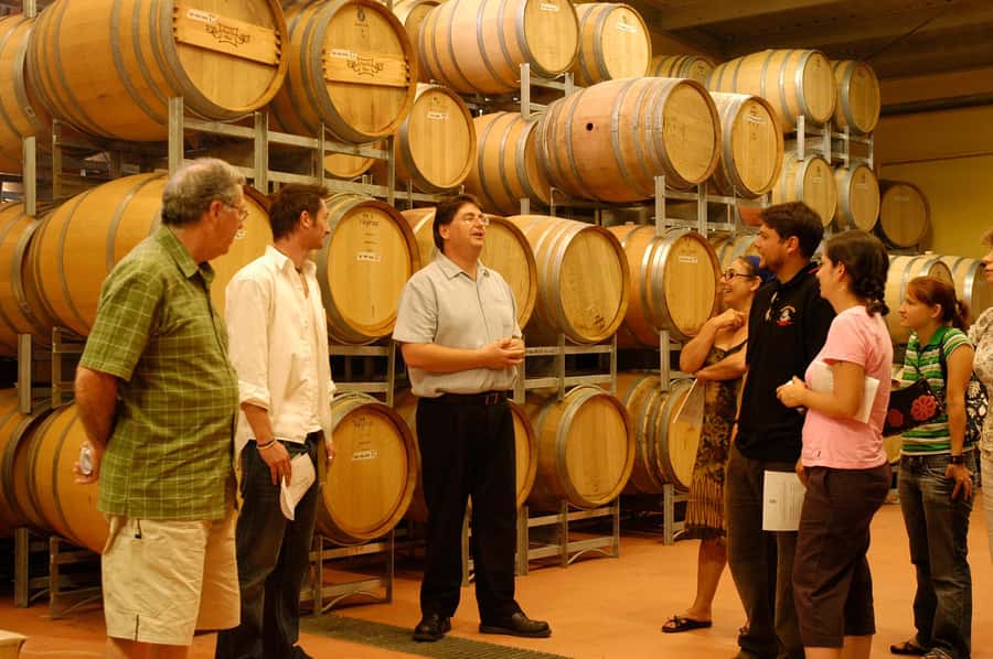 From Sydney: All Inclusive Boutique Hunter Valley Wine Tour - FAQ