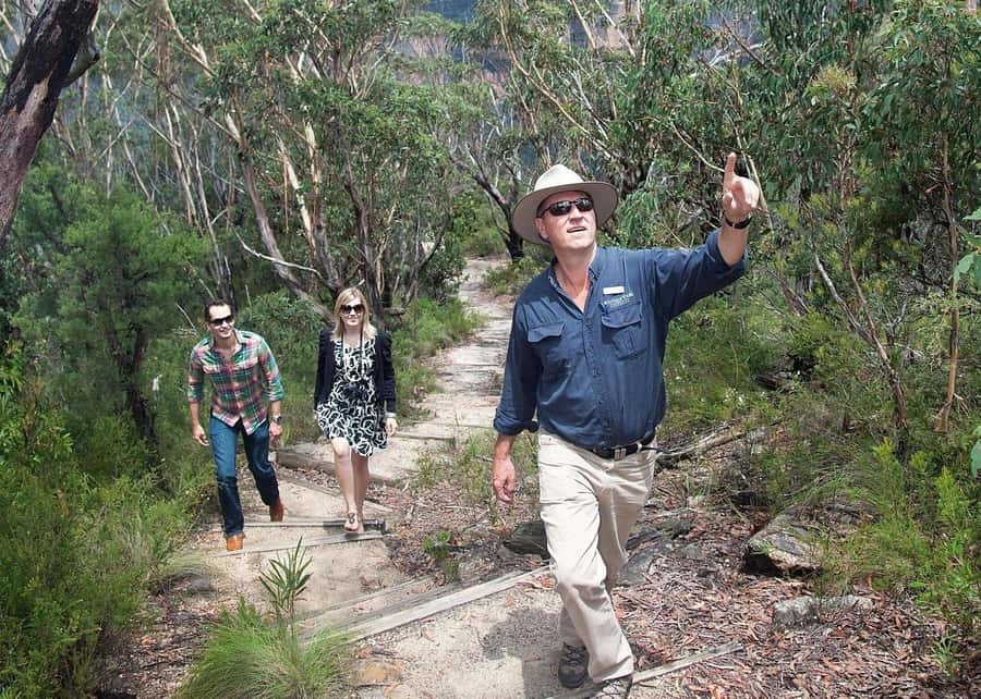 From Sydney: Blue Mountains Bushwalks & Featherdale Tour - A smooth Blue Mountains day from central Sydney