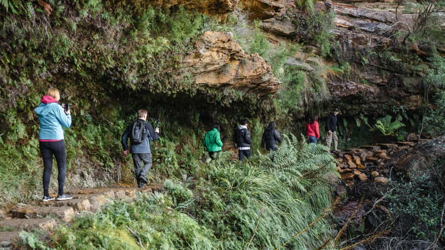From Sydney: Blue Mountains Bushwalks & Featherdale Tour - Echo Point Three Sisters: the icon, plus why it matters