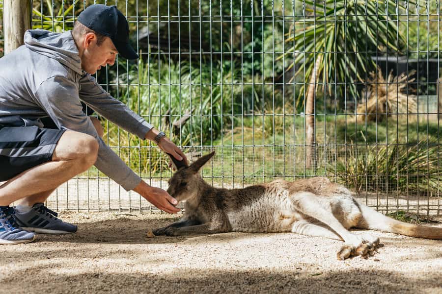 From Sydney: Blue Mountains Full-Day Trip - Key takeaways before you go