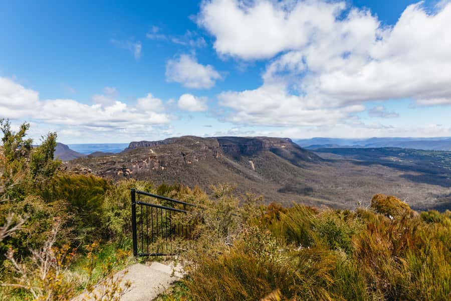 From Sydney: Blue Mountains Full-Day Trip - The ferry back to Circular Quay: a calmer ending to a long day