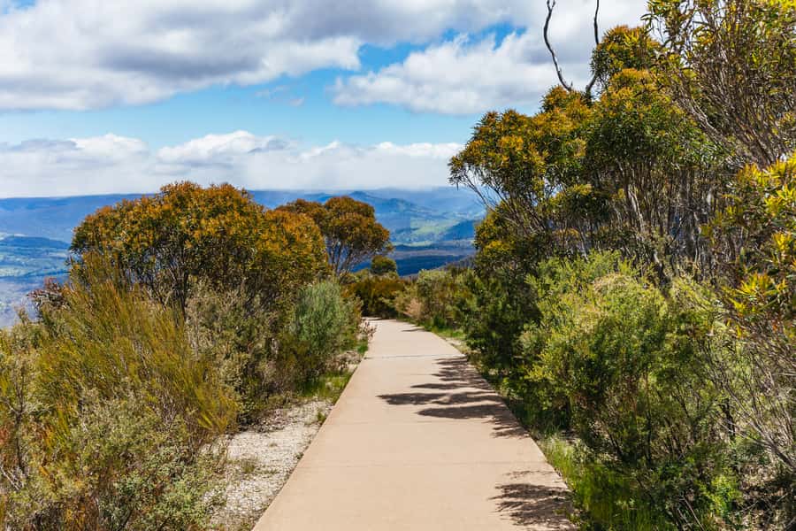 From Sydney: Blue Mountains Full-Day Trip - Price and logistics: what you’re actually paying for