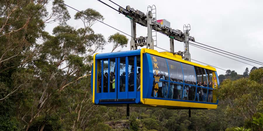 From Sydney: Blue Mountains, Scenic Railway, & Sydney Zoo - Sydney Zoo in the morning: kangaroos and quick wildlife viewing