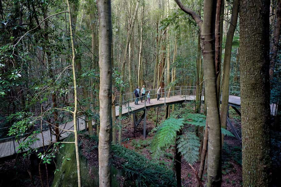 From Sydney: Blue Mountains, Scenic World, Zoo, & Ferry Ride - From Sydney to Echo Point: Three Sisters and Jamison Valley Time