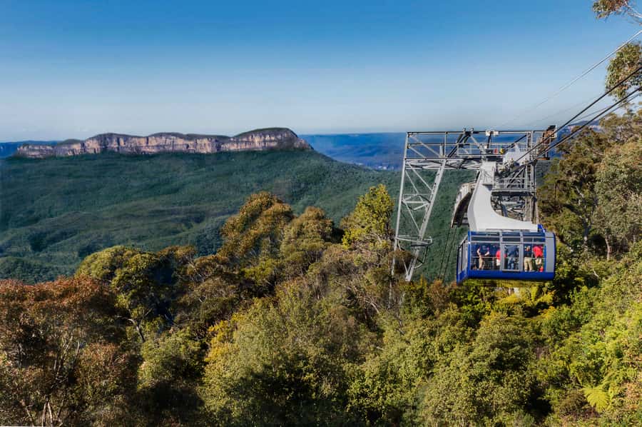 From Sydney: Blue Mountains, Scenic World, Zoo, & Ferry Ride - Price and Value: What $139 Includes (and What It Doesn’t)