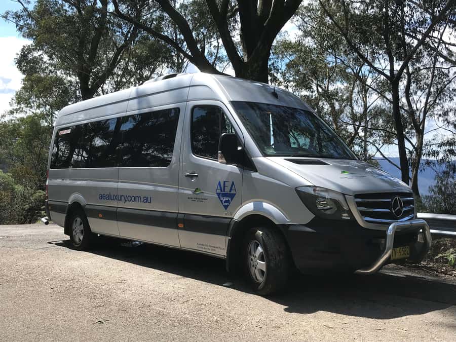 From Sydney: Blue Mountains Small-Group Tour Picnic & Hike - Price and value: what $224 really buys you