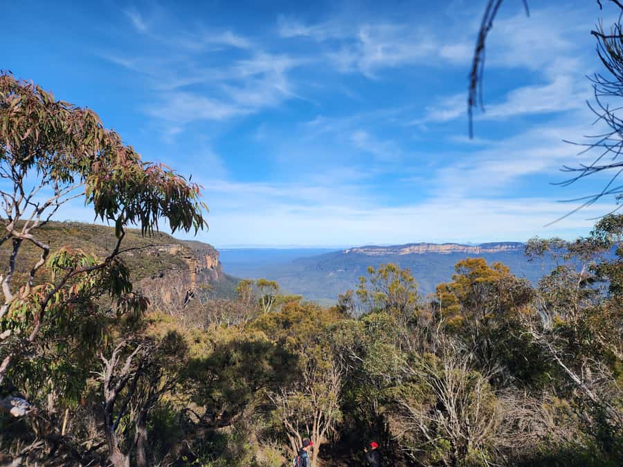 From Sydney: Blue Mountains Tour with Waterfall Walk & Lunch - Key things to know before you go