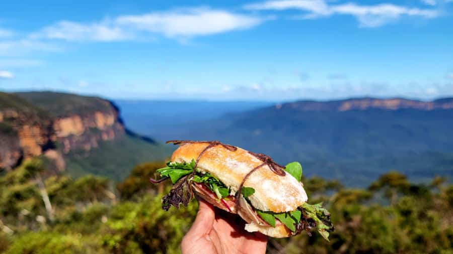 From Sydney: Blue Mountains Tour with Waterfall Walk & Lunch - Who should book this Blue Mountains tour
