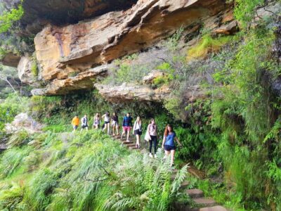 From Sydney: Blue Mountains Tour with Waterfall Walk & Lunch - The real highlight: Wentworth Falls and the bottom-of-the-waterfall walk