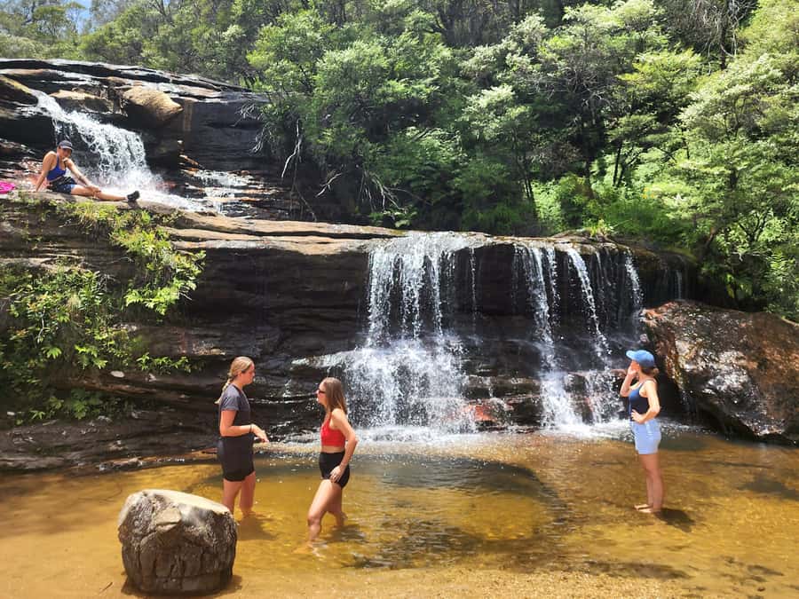 From Sydney: Blue Mountains Tour with Waterfall Walk & Lunch - Lunch, Tim Tams, and what you should bring