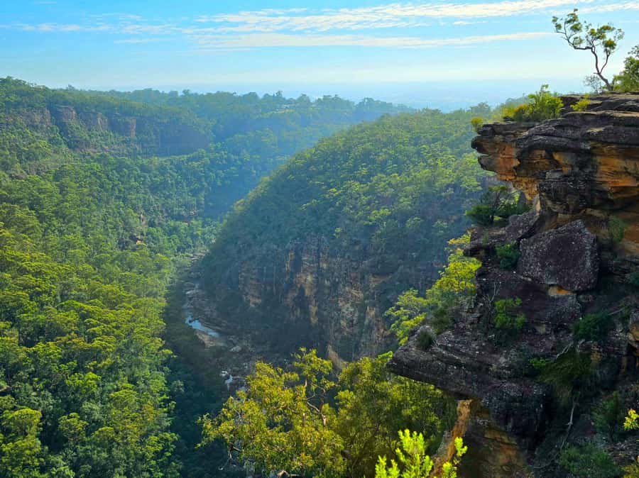 From Sydney: Blue Mountains Tour with Waterfall Walk & Lunch - Weather and track closures: how the day stays enjoyable