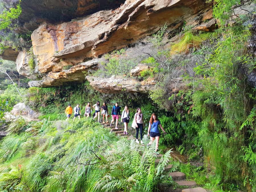 From Sydney: Blue Mountains Tour with Waterfall Walk & Lunch - The real highlight: Wentworth Falls and the bottom-of-the-waterfall walk