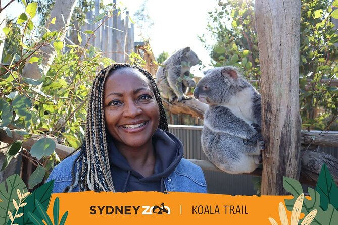From Sydney: Blue Mountains with Zoo, Koala Photo & Scenic World - Timing, Coach Logistics, and Group Size From Central Station