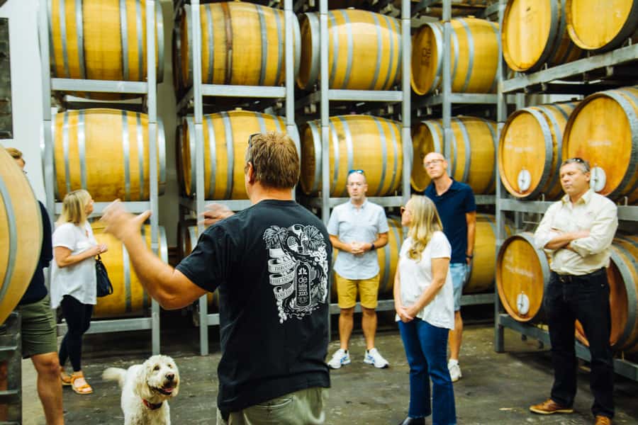 From Sydney: Full-Day Hunter Valley Tour w/ Tastings & Lunch - Winery Stop #2 and #3: variety over repeat bottles