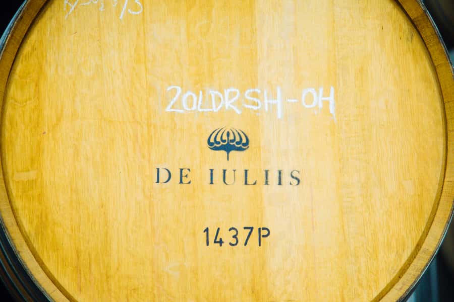 From Sydney: Full-Day Hunter Valley Tour w/ Tastings & Lunch - Behind-the-scenes wine production tour: where it gets real