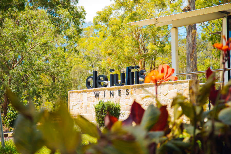 From Sydney: Full-Day Hunter Valley Tour w/ Tastings & Lunch - Lunch at the local restaurant: one course, real break, included drink