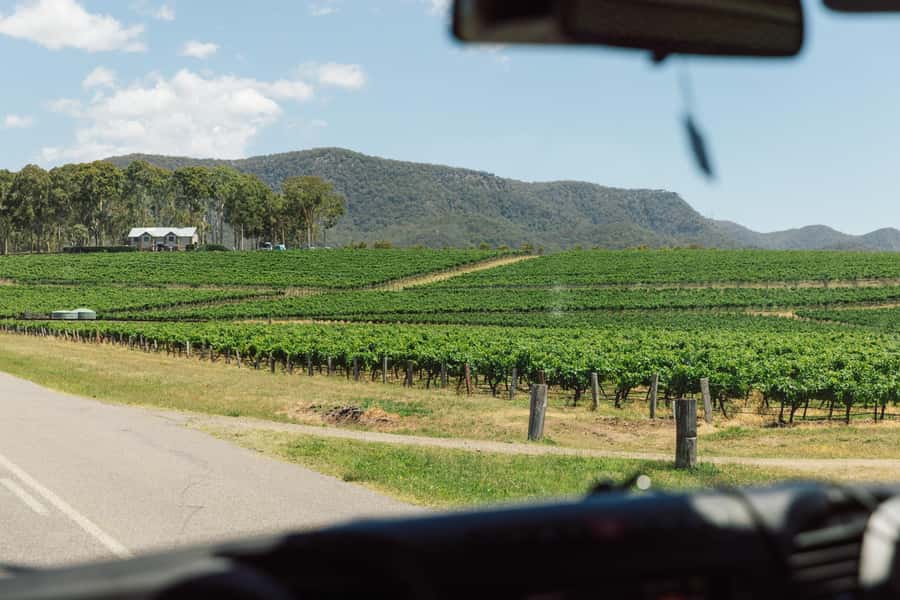 From Sydney: Full-Day Hunter Valley Wine Tour & Lunch - Key things you’ll notice on this Hunter Valley day