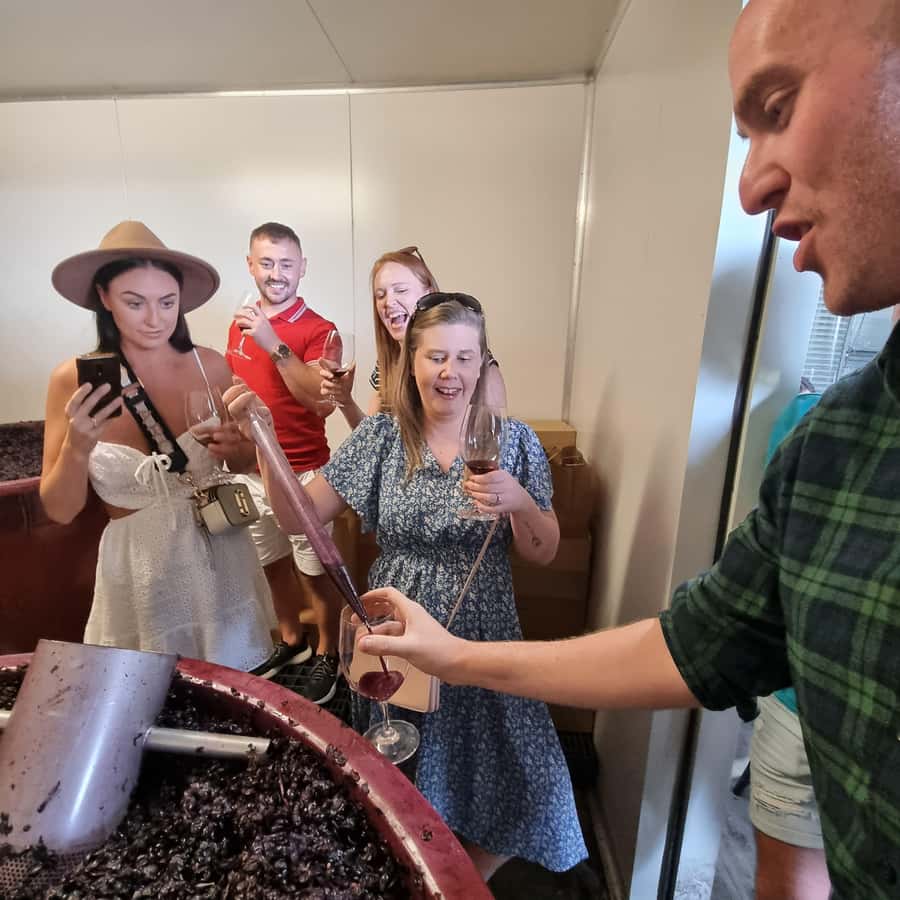 From Sydney: Hunter Valley Wine, Gin & Food Tastings Tour - Price and value: what $159 covers and why it matters