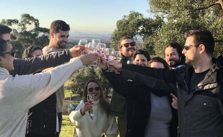 From Sydney: Hunter Valley Wine Tasting & Winery Picnic Tour - Key Things I’d Prioritize Before You Go