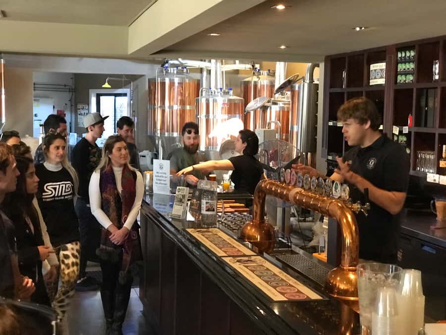 From Sydney: Hunter Valley Wine Tasting & Winery Picnic Tour - 4 Pines Brewery Lunch: Optional, Award-Winning, and a Palate Reset