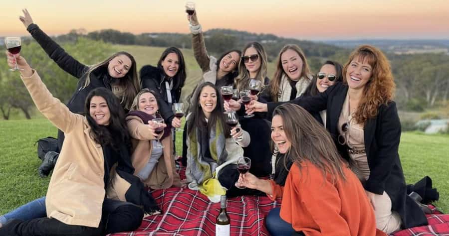 From Sydney: Hunter Valley Wine Tasting & Winery Picnic Tour - How the Small Group and Bilingual Guide Actually Changes the Day