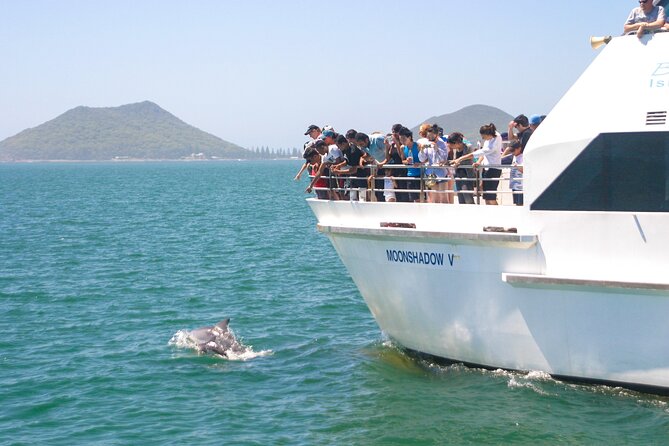 From Sydney: Port Stephens Dolphin, Koalas, Lunch & Sandboarding - Key things worth knowing before you go