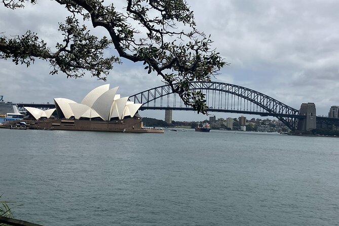 From Sydney: Tandem Skydive Experience over Wollongong Beach - Freefall and Canopy Time: A Timeline You Can Actually Prepare For