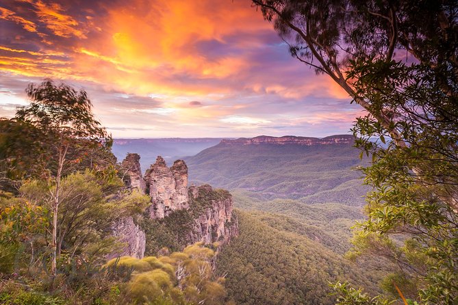 Fully Inclusive Blue Mountains Private Tour inc Scenic World & Featherdale Entry - Quick hits before you go