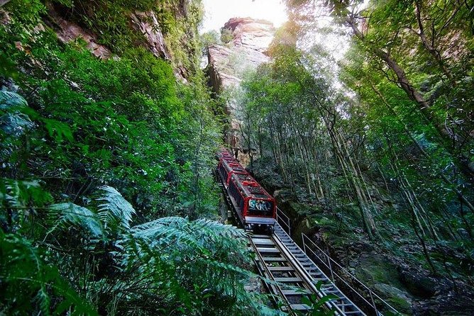 Fully Inclusive Blue Mountains Private Tour inc Scenic World & Featherdale Entry - Glenbrook off-the-beaten-track stops: shorter time, smarter variety