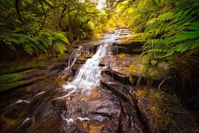 Fully Inclusive Blue Mountains Private Tour inc Scenic World & Featherdale Entry - Leura Mall lunch break: eat well, shop a little, or just wander