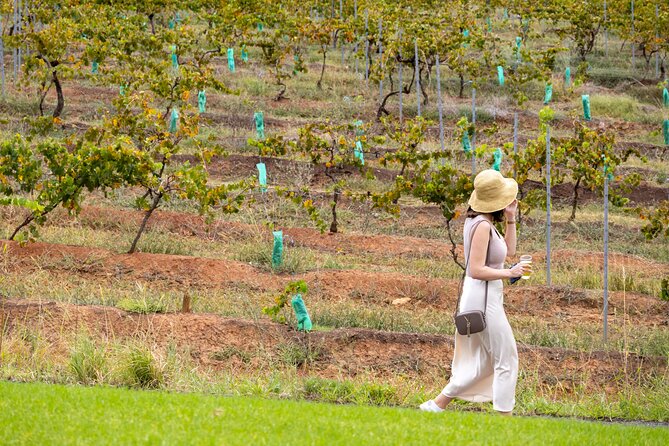 Hunter Valley All Inclusive, Wine, Chocolate Tasting and Lunch - Stop 3: Hunter Valley Gardens Village for a real break