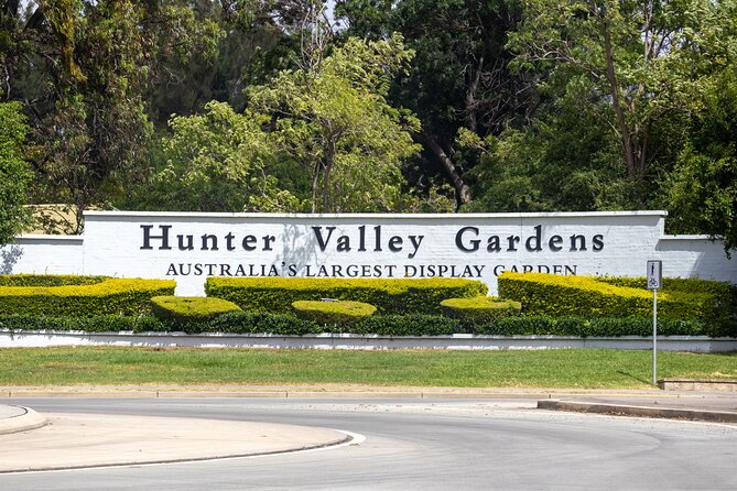 Hunter Valley All Inclusive, Wine, Chocolate Tasting and Lunch - Stop 4: Drayton’s Family Wines and a structured tasting in old-school style