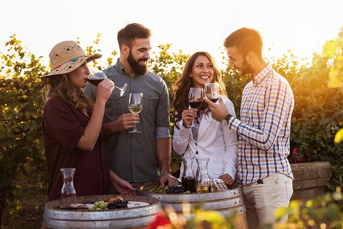 Hunter Valley Highlights Private Wine Tour from Sydney - Key things I’d focus on before you book