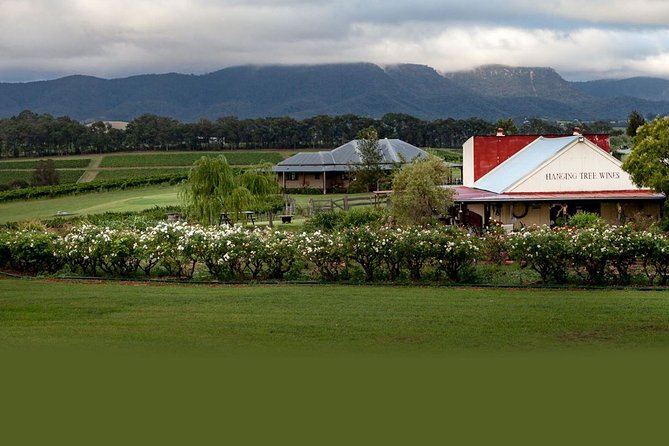 Hunter Valley Highlights Private Wine Tour from Sydney - Smelly Cheese Shop and the Hall of Food: a palate reset you can actually taste