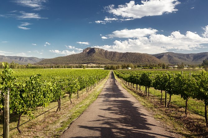 Hunter Valley Highlights Private Wine Tour from Sydney - Hunter Valley Chocolate Company: a sweet finish that doesn’t overtake the day