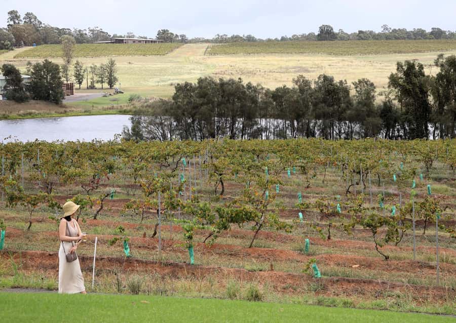 Hunter Valley: Wine, Chocolate and Lunch All Inclusive Tour - The real value: what $130 gets you in one day