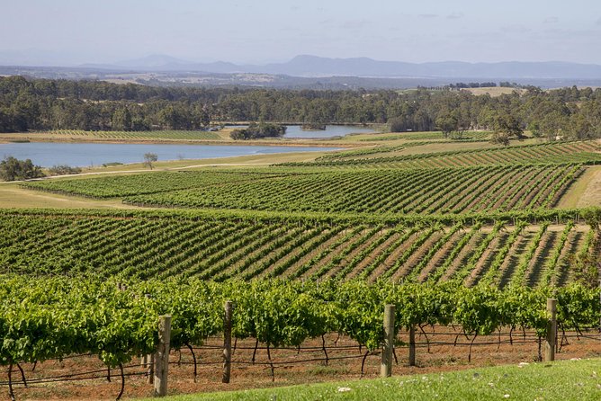 Hunter Valley Wine Tour from Sydney with Lunch and 3 Cellar Door Tastings - The Smelly Cheese Shop stop: pairing, texture, and why it’s not random