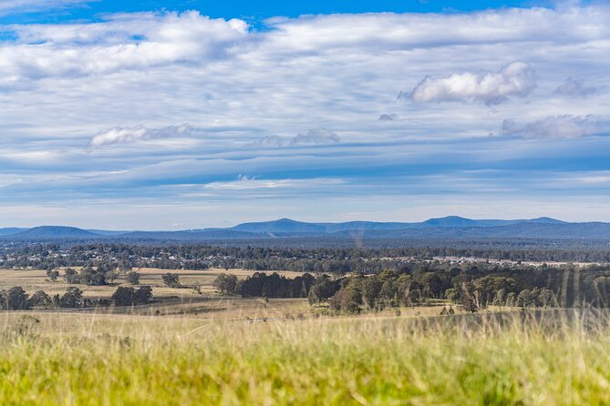 Hunter Valley Wine Tour from Sydney with Lunch and 3 Cellar Door Tastings - Who this Hunter Valley tour suits best (and who should skip it)